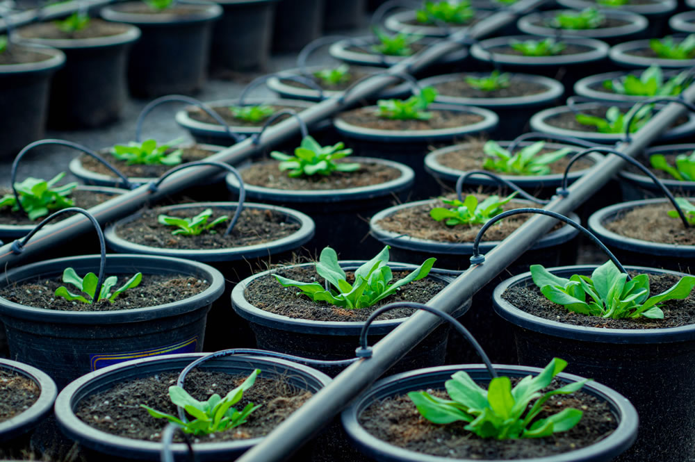 7 перспективных применений полимеров в агропроме