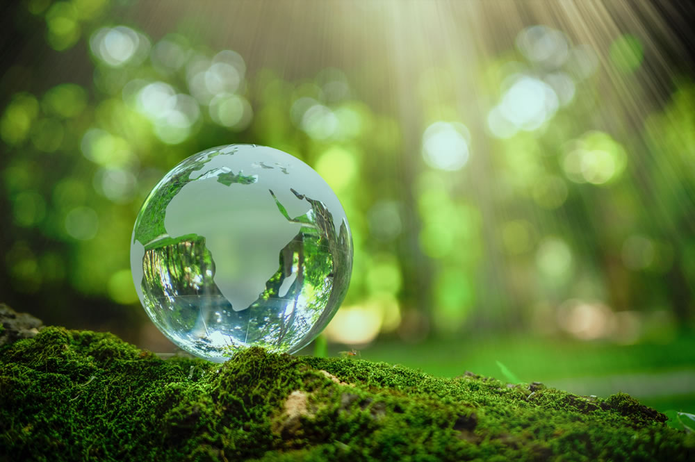 Елена Мякотникова: «Мы всегда ищем умные решения»