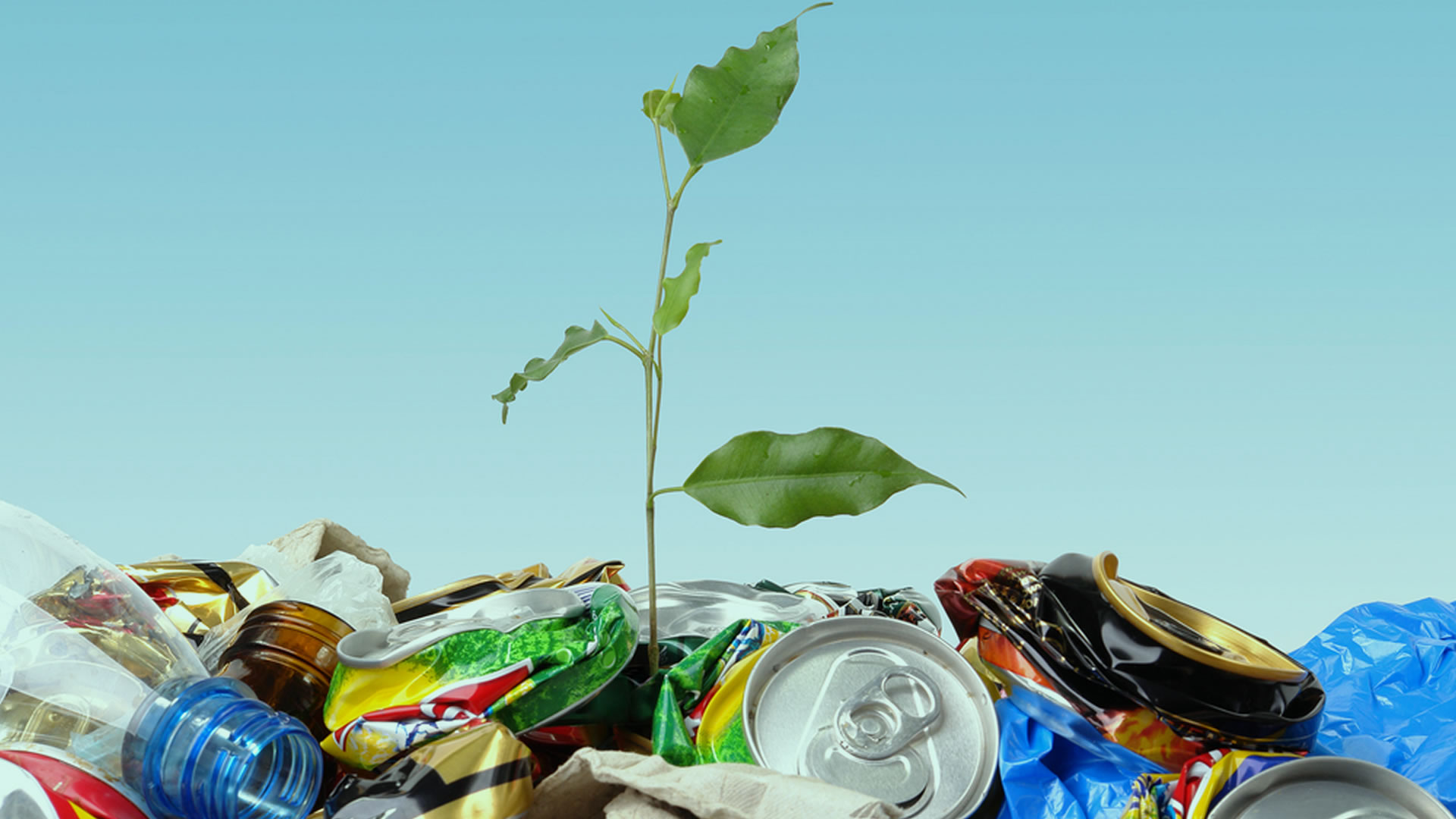 Телеканал «Наука 2.0» выпустил фильм с участием СИБУРа