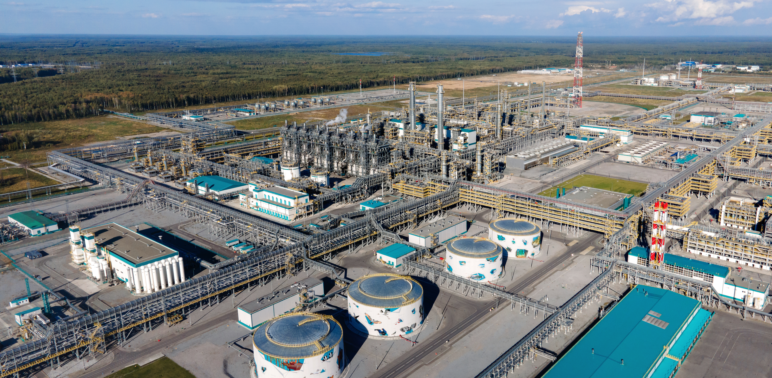 Одним из своевременных поддерживающих мероприятий и примеров импортозамещения стало начало производства малеинового ангидрида (МАН) – ценного сырьевого компонента части лакокрасочной продукции – на площадке «ЗапСибНефтехима» (СИБУР) в Тобольске. 